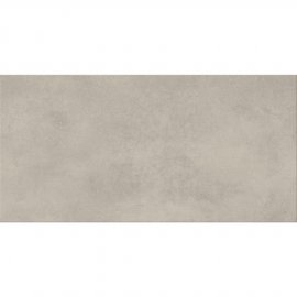 Gres szkliwiony EVOLUTION BERLIN light grey mat 29,8x59,8 #614 gat. II