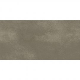 Gres szkliwiony EVOLUTION BERLIN taupe mat 29,8x59,8 #615 gat. II