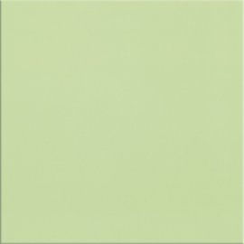 Płytka ścienna MONOBLOCK light green mat 20x20 gat. I