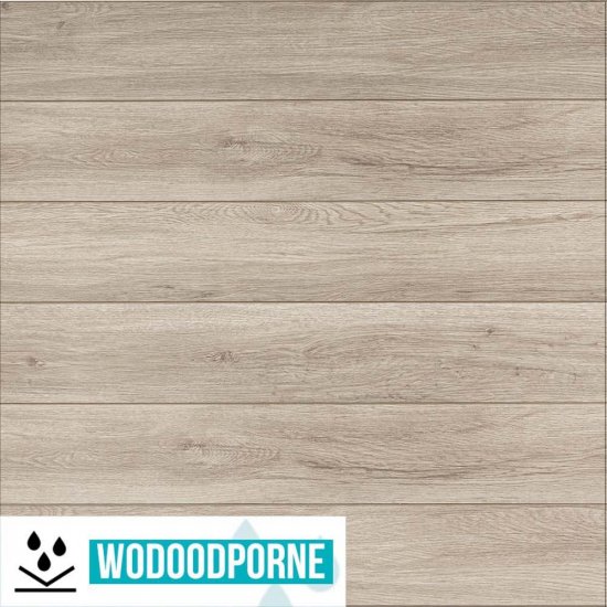 Panele winylowe SPC BESTLAMINATE ADDURI JESION NATURALNY KL 23-33 5 mm