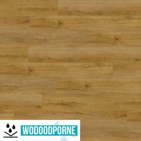 Panele winylowe SPC EPUFLOORING WOOD MAGGIORE KL 23-31 5 mm