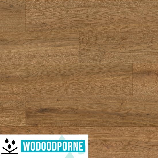 Panele winylowe SPC BARLINEK DĄB GRACE KL 23-33 5,2 mm