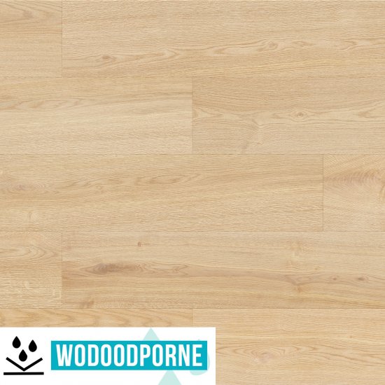 Panele winylowe SPC BARLINEK DĄB EMMA KL 23-33 5,2 mm