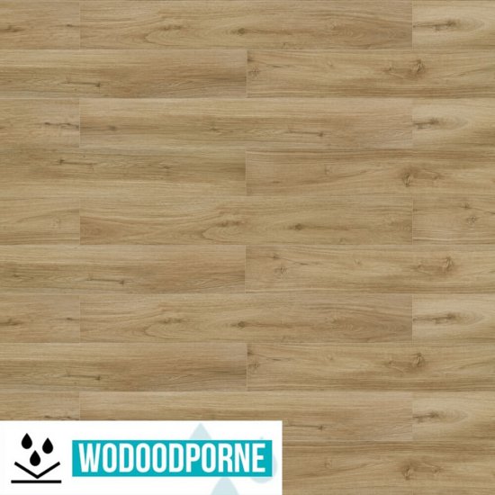 Panele winylowe SPC KORNER PERFECT FLOOR DĄB ACADIA KL 23-34-42 5 mm