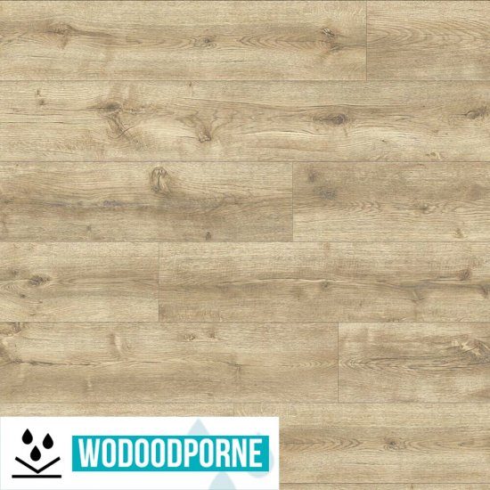 Panele winylowe LVT IVC PRIMERO CLICK DĄB MAJOR JASNY 24279 KL 23-31 4,5 mm