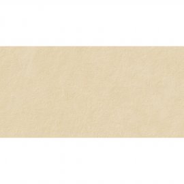 Gres szkliwiony RAGNAR cream mat 29,8x59,8 gat. I