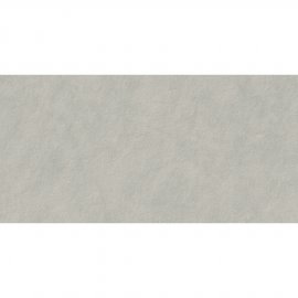 Gres szkliwiony RAGNAR light grey mat 29,8x59,8 gat. I