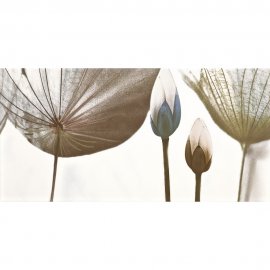 Płytka ścienna inserto MODENA grey flower glossy 29,7x120 gat. I