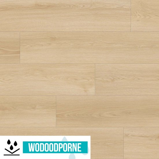 Panele winylowe SPC WILD WOOD BBL DĄB SŁOMKOWY KL 23-34 6 mm