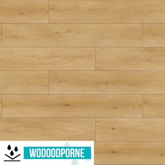 Panele podłogowe WILD WOOD BBL DĄB SZAFRANOWY AC6 10 mm