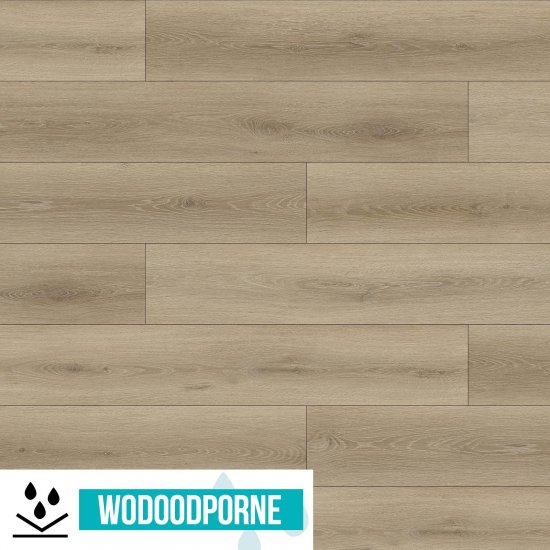 Panele podłogowe WILD WOOD BBL DĄB GOŹDZIKOWY AC6 10 mm
