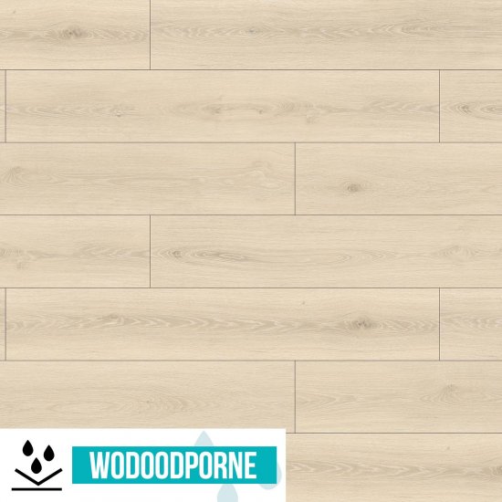 Panele podłogowe WILD WOOD BBL DĄB WANILIOWY AC6 10 mm