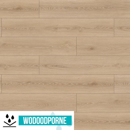Panele podłogowe WILD WOOD BBL DĄB IMBIROWY AC6 10 mm